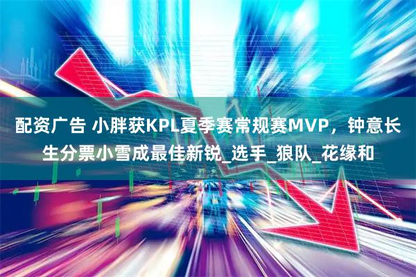 配资广告 小胖获KPL夏季赛常规赛MVP，钟意长生分票小雪成最佳新锐_选手_狼队_花缘和