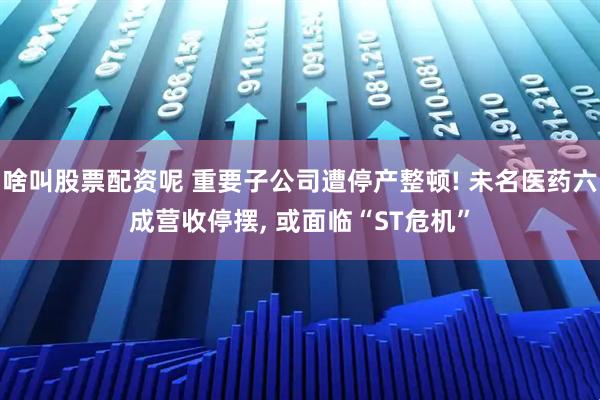 啥叫股票配资呢 重要子公司遭停产整顿! 未名医药六成营收停摆, 或面临“ST危机”