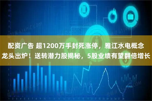 配资广告 超1200万手封死涨停，雅江水电概念龙头出炉！送转潜力股揭秘，5股业绩有望翻倍增长