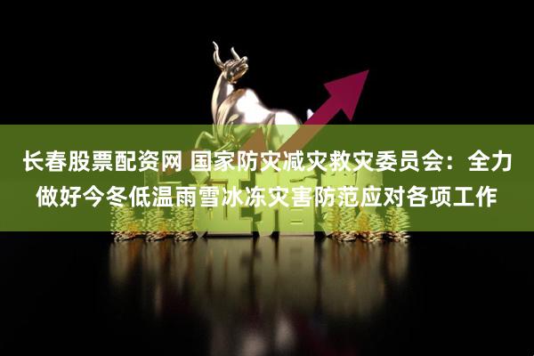 长春股票配资网 国家防灾减灾救灾委员会：全力做好今冬低温雨雪冰冻灾害防范应对各项工作